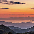 Gold in Monteverde Photograph by Neil Shapiro