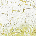 Gold of the Land Painting by Linda Bailey Gold of the Land Painting by Linda Bailey