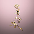 Gold Pink Flower Branch on Rose Quartz n.02768 Painting by Holy Rock Design Gold Pink Flower Branch on Rose Quartz n.02768 Painting by Holy Rock Design