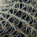 Golden Ball by Anorel