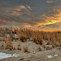 Golden Beach Photograph by Cathy Kovarik Golden Beach Photograph by Cathy Kovarik