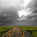Golden Boardwalk by Puttaswamy Ravishankar