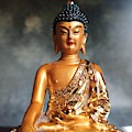 Golden Healer, The Buddha by Barista Uno Golden Healer, The Buddha by Barista Uno