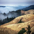 Golden Hills, Mt. Tamalpais Photograph by Donald Kinney Golden Hills, Mt. Tamalpais Photograph by Donald Kinney