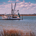 Golden Isles Marine PhotoArt Photograph by DB Hayes Golden Isles Marine PhotoArt Photograph by DB Hayes