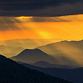 Golden Rain Photograph by Evgeni Dinev Golden Rain Photograph by Evgeni Dinev