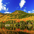 Golden Reflections of Fall by NorthEast Creativity