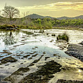 Twilight Reflections on the Frio River - Garner State Park, Texas Hill Country by Brigitte Blanchette Thompson