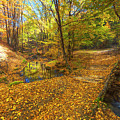 Golden River Photograph by Evgeni Dinev Golden River Photograph by Evgeni Dinev