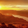 Golden Sunset Photograph by Bradley Morris Golden Sunset Photograph by Bradley Morris