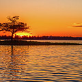 Golden Sunset Photograph by Joe Holley Golden Sunset Photograph by Joe Holley