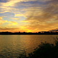 Golden Sunset Photograph by Mary Walchuck Golden Sunset Photograph by Mary Walchuck