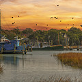 Golden Sunset Sky - Shem Creek - Mount Pleasant South Carolina by Dale Powell