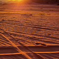 Golden Trails by Andrea Whitaker