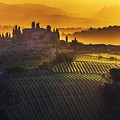 Golden Tuscany Photograph by Evgeni Dinev Golden Tuscany Photograph by Evgeni Dinev