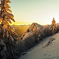 Golden Winter Photograph by Evgeni Dinev Golden Winter Photograph by Evgeni Dinev