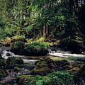 Gollinger Wasserfalls Photograph by Vaclav Sonnek Gollinger Wasserfalls Photograph by Vaclav Sonnek