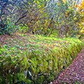 Good Day For A Walk Photograph by Allen Nice-Webb Good Day For A Walk Photograph by Allen Nice-Webb
