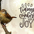 Good Tidings Photograph by Cathy Kovarik Good Tidings Photograph by Cathy Kovarik