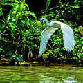 May You Find Peace Photograph by Leslie Struxness May You Find Peace Photograph by Leslie Struxness