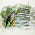 Grackle by the Lake Digital Art by Alison Frank Grackle by the Lake Digital Art by Alison Frank