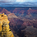 Grand Canyon Morning by Susie Loechler