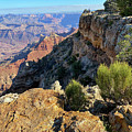 Grand Canyon South Rim Photograph by Jeanette French Grand Canyon South Rim Photograph by Jeanette French