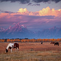 Grand Teton Pasture Photograph by Wesley Aston Grand Teton Pasture Photograph by Wesley Aston
