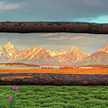 Grand Tetons from Jackson Lake Lodge,  Moran WY Photograph by Peter Herman