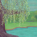 Grandmother Willow Pastel by Anne Katzeff Grandmother Willow Pastel by Anne Katzeff