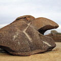 Granite eagle by Avenue Des Images