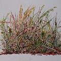 Grasses by Leonie Bell