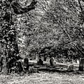 Grave Yard1 Photograph by John Linnemeyer Grave Yard1 Photograph by John Linnemeyer
