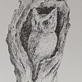 Great Horned Owl Drawing by ML McCormick Great Horned Owl Drawing by ML McCormick