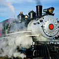 Great Western #51 Photograph by Larey McDaniel Great Western #51 Photograph by Larey McDaniel