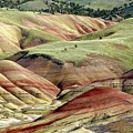 Green and Red by Terry Dorvinen