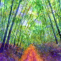 Green Archway-pastel colors Painting by Hailey E Herrera Green Archway-pastel colors Painting by Hailey E Herrera