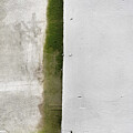 Green Between by Edward Lee