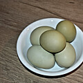Green Eggs No Ham by Kathy K McClellan