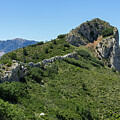 Green expanse and ascent to the crest Photograph by Adriana Mueller Green expanse and ascent to the crest Photograph by Adriana Mueller