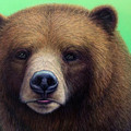 Green-eyed Bear Painting by James W Johnson Green-eyed Bear Painting by James W Johnson