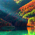 Green Lake Photograph by Evgeni Dinev Green Lake Photograph by Evgeni Dinev