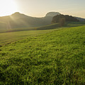 Green meadow and golden light 1 Photograph by Adriana Mueller Green meadow and golden light 1 Photograph by Adriana Mueller