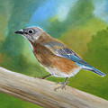 Green Morning Bluebird by Angeles M Pomata