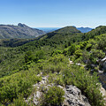 Green mountain landscape and the rock Cavall Verd Photograph by Adriana Mueller Green mountain landscape and the rock Cavall Verd Photograph by Adriana Mueller