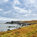 Green Point Landscape by Allan Van Gasbeck