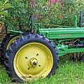 Greene Deere by Alana Thrower