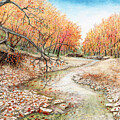 Grier Creek by David Neace CPX