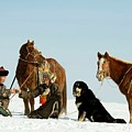 Greeting Countryside Photograph by Bat-Erdene Baasansuren