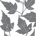Grey maple leaves Painting by Ruth Kamenev Grey maple leaves Painting by Ruth Kamenev